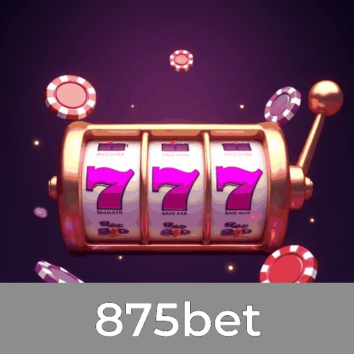 875bet: A Plataforma Premium de Apostas com Serviço Profissional